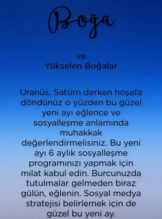 balık yeniayı 2b (2).webp
