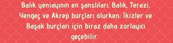 balık yeniayı 3 (3).webp