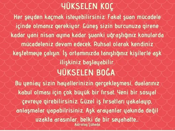 balık yeniayı 3 (4).webp