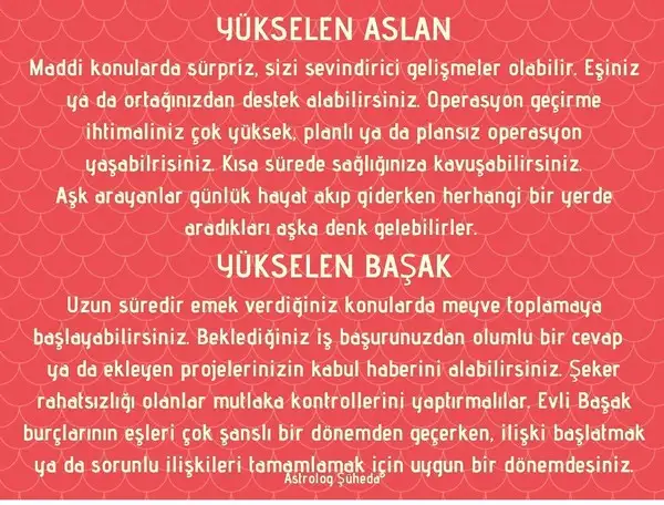 balık yeniayı 3 (6).webp