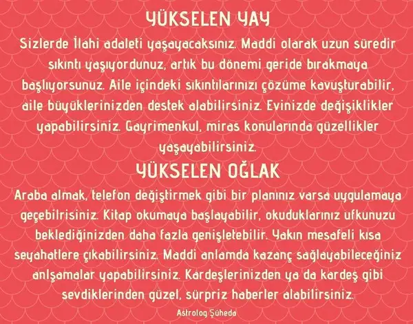balık yeniayı 3 (8).webp