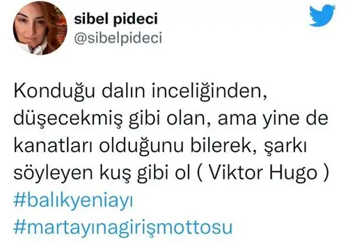 balık yeniayı 4.webp