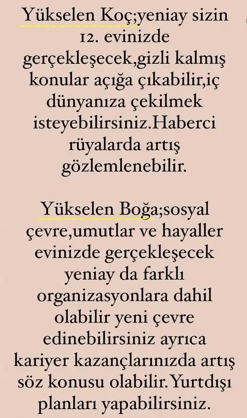 balık yeniayı 5 (3).webp