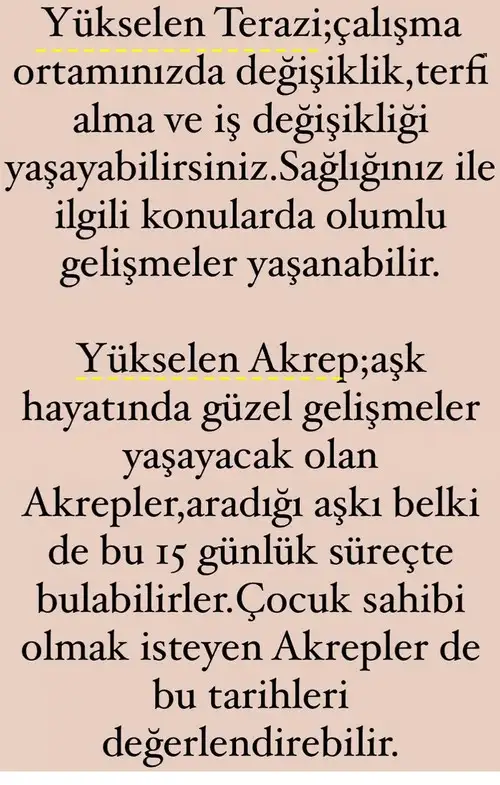 balık yeniayı 5 (6).webp
