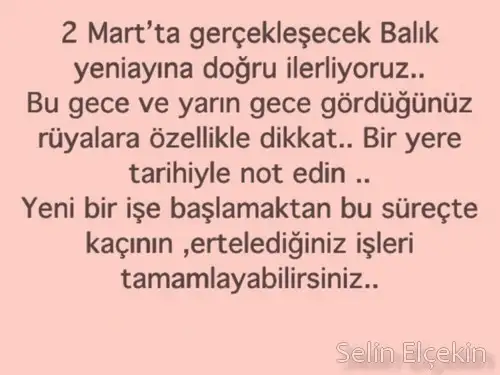 balık yeniayı 6.webp