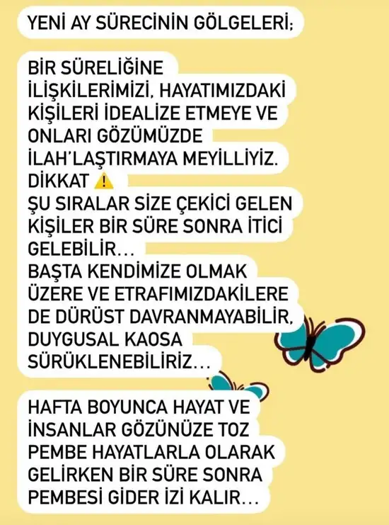 balık yeniayı 7 (2).webp
