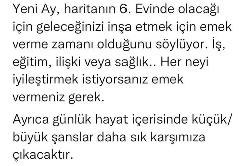 balık yeniayı 7 (6).webp