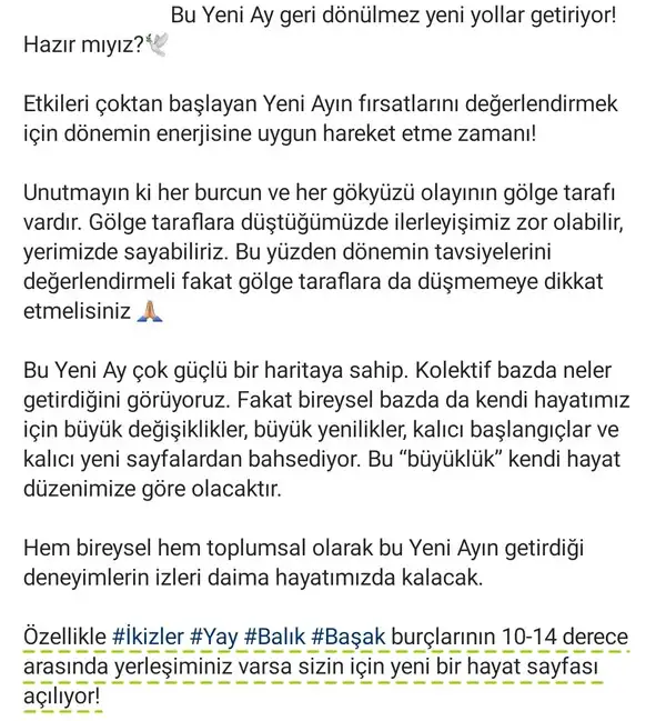 balık yeniayı 7 (8).webp