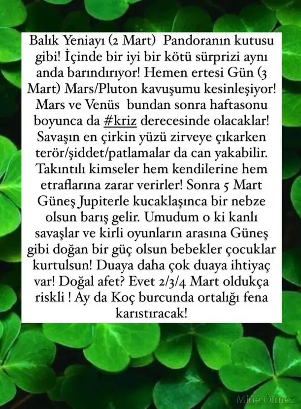 balık yeniayı 7.webp