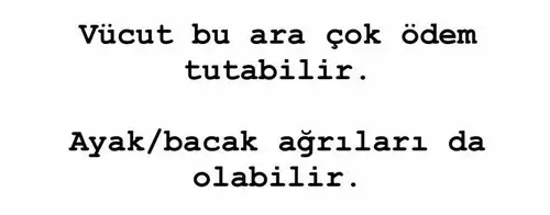 balık yeniayı 8 (1).webp