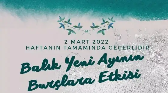 balık yeniayı 9 (1).webp