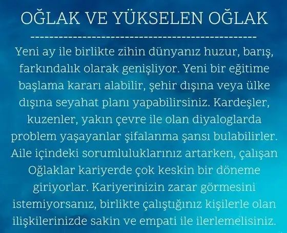 balık yeniayı 9 (11).webp