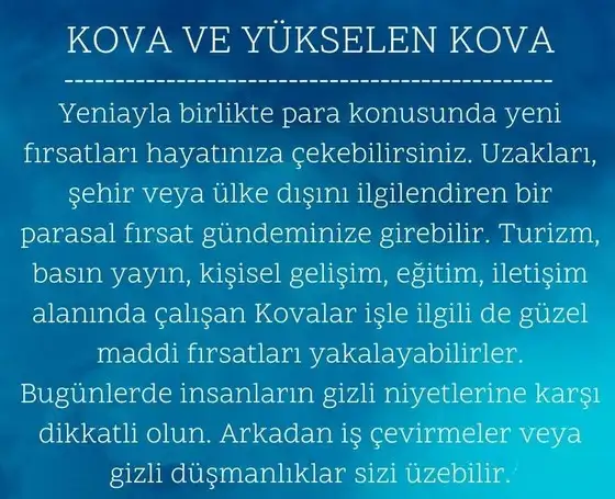 balık yeniayı 9 (12).webp