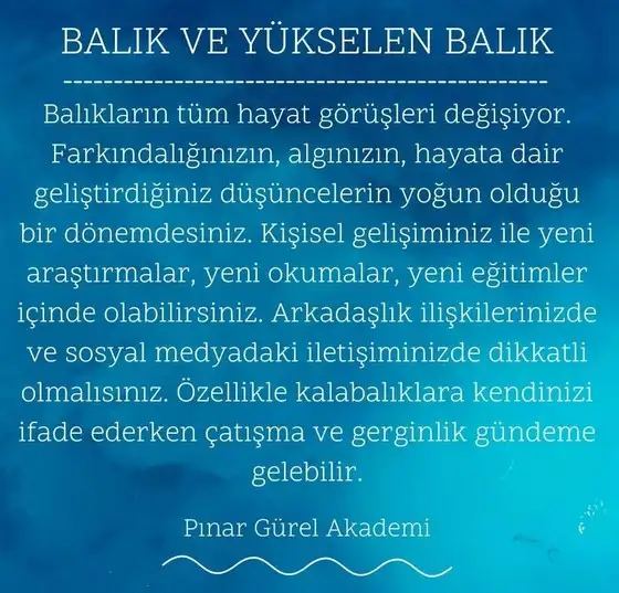 balık yeniayı 9 (13).webp