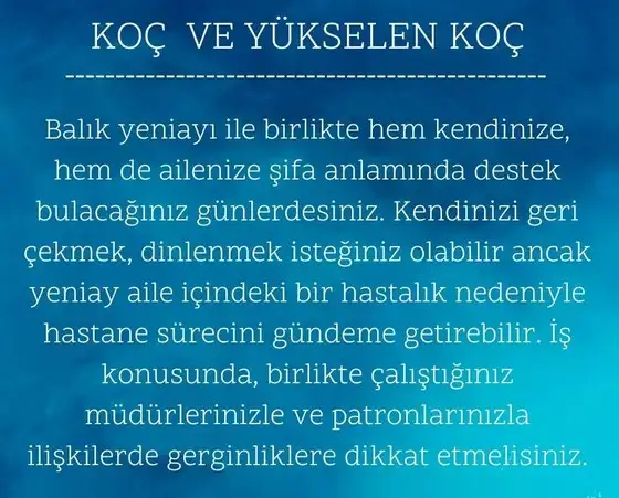 balık yeniayı 9 (2).webp