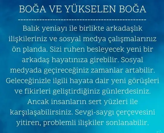 balık yeniayı 9 (3).webp