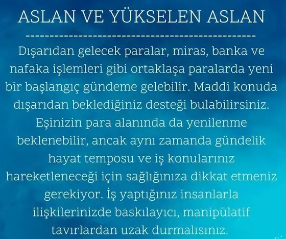 balık yeniayı 9 (6).webp