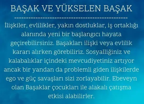 balık yeniayı 9 (7).webp
