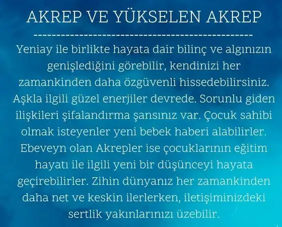 balık yeniayı 9 (9).webp