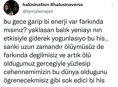 balık yeniayı 9.webp
