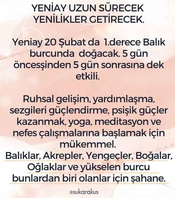 balık yeniayı.webp