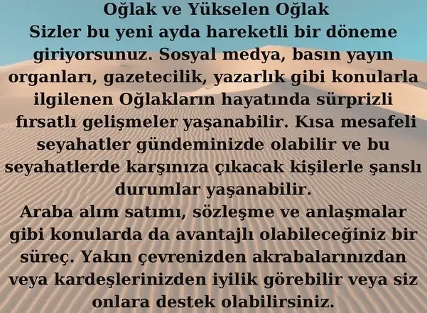 balık yeniayı18 (13).webp