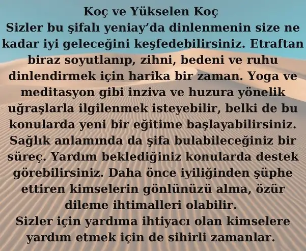 balık yeniayı18 (2).webp