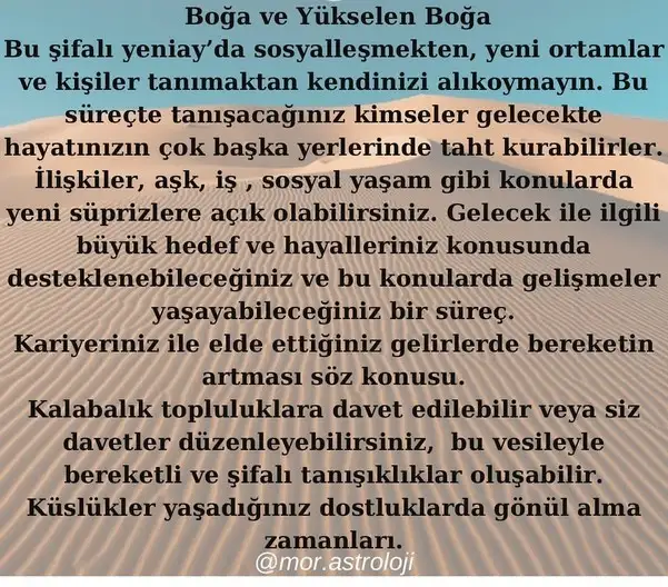 balık yeniayı18 (3).webp
