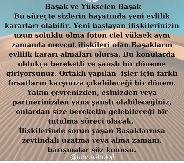 balık yeniayı18 (7).webp