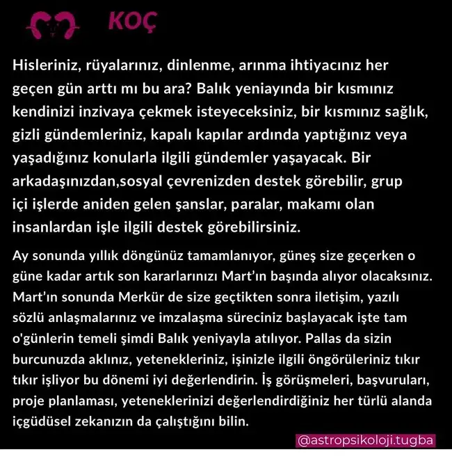 balık yeniayı19 (6).webp
