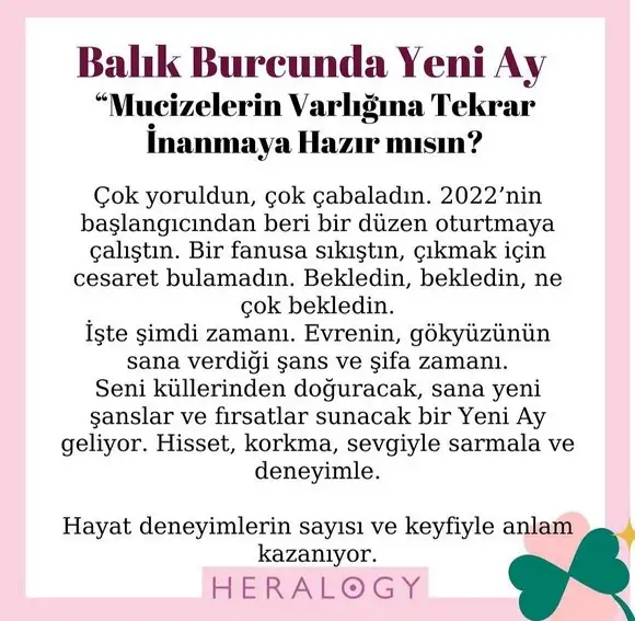 balık yeniayı2.webp