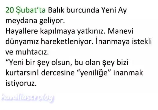 balık yeniayı2.webp