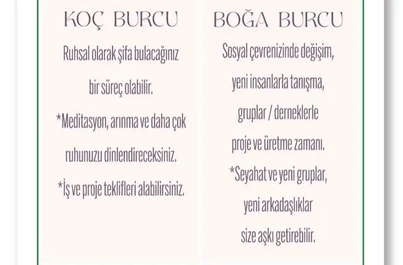 balık yeniayı3 (2).webp