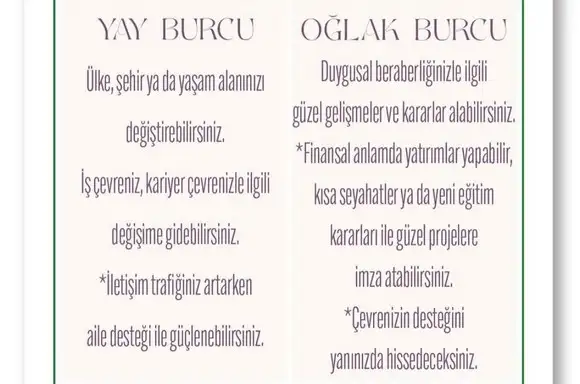 balık yeniayı3 (6).webp