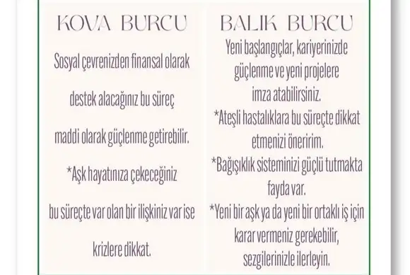 balık yeniayı3 (7).webp