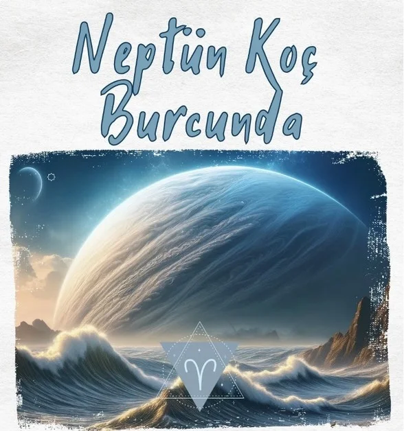 balık yeniayı6.webp