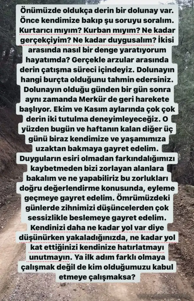 balık0.webp