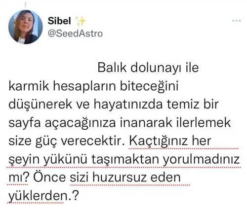 balık0.webp