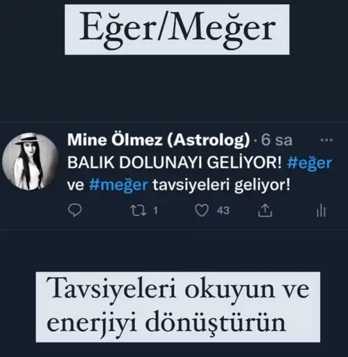 balık01 (1).webp