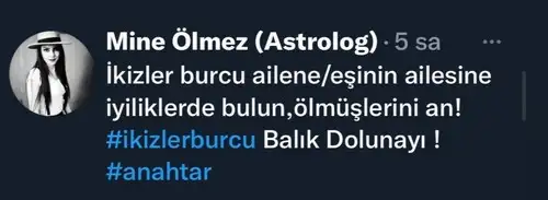 balık01 (5).webp