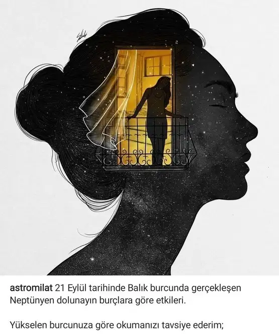 balık1 (1).webp