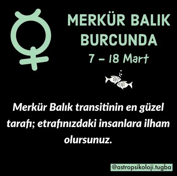 balık1 (1).webp
