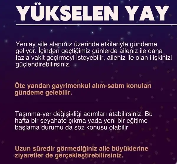 balık1 (10).webp
