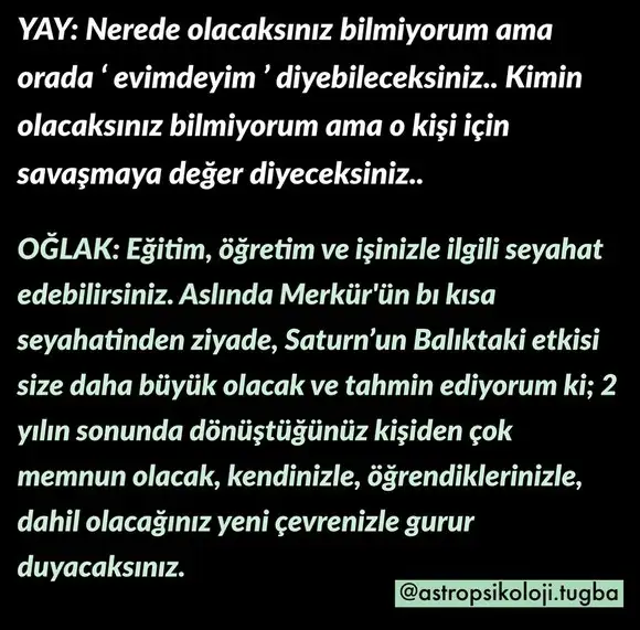balık1 (10).webp