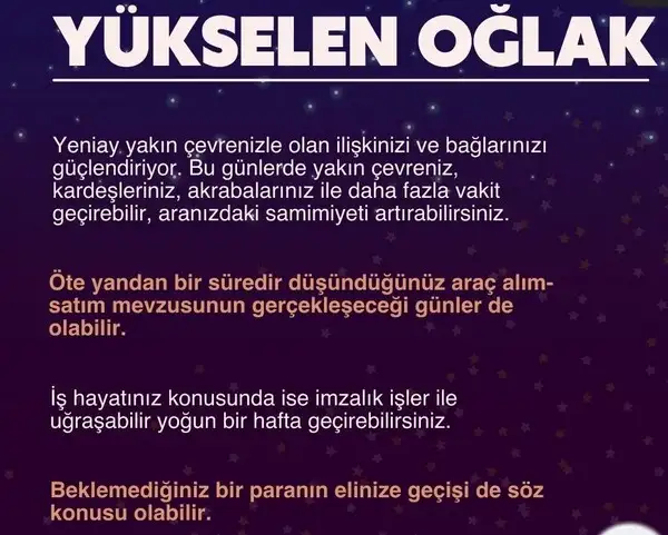 balık1 (11).webp