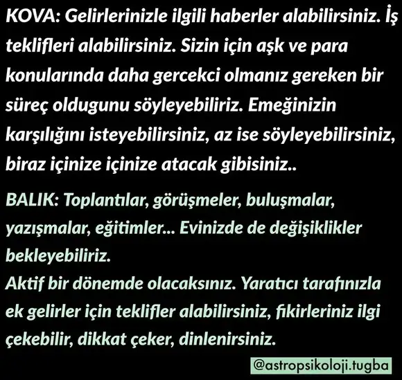 balık1 (11).webp
