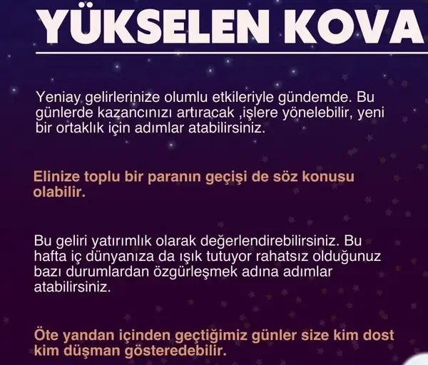 balık1 (12).webp