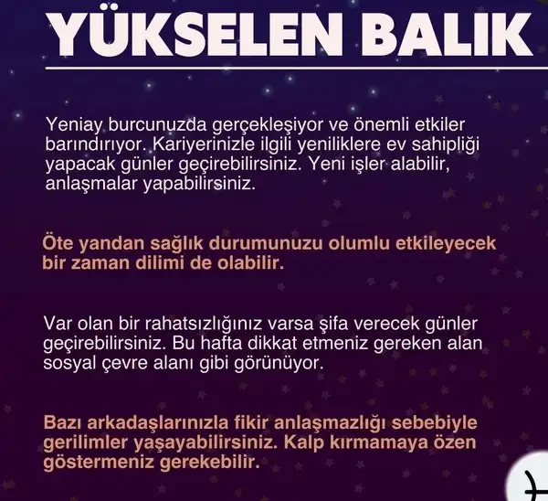 balık1 (13).webp