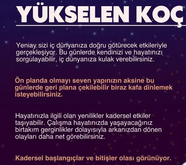 balık1 (2).webp