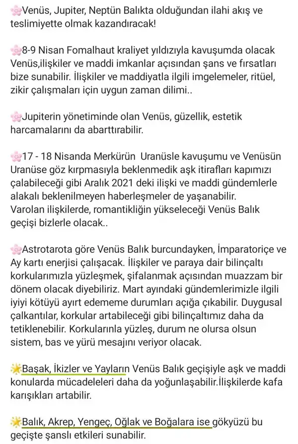 balık1 (2).webp